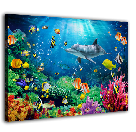 marine-life-wall-art